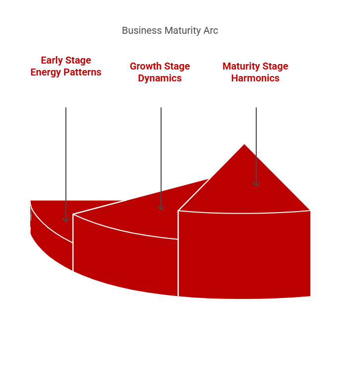Business Maturity Arc